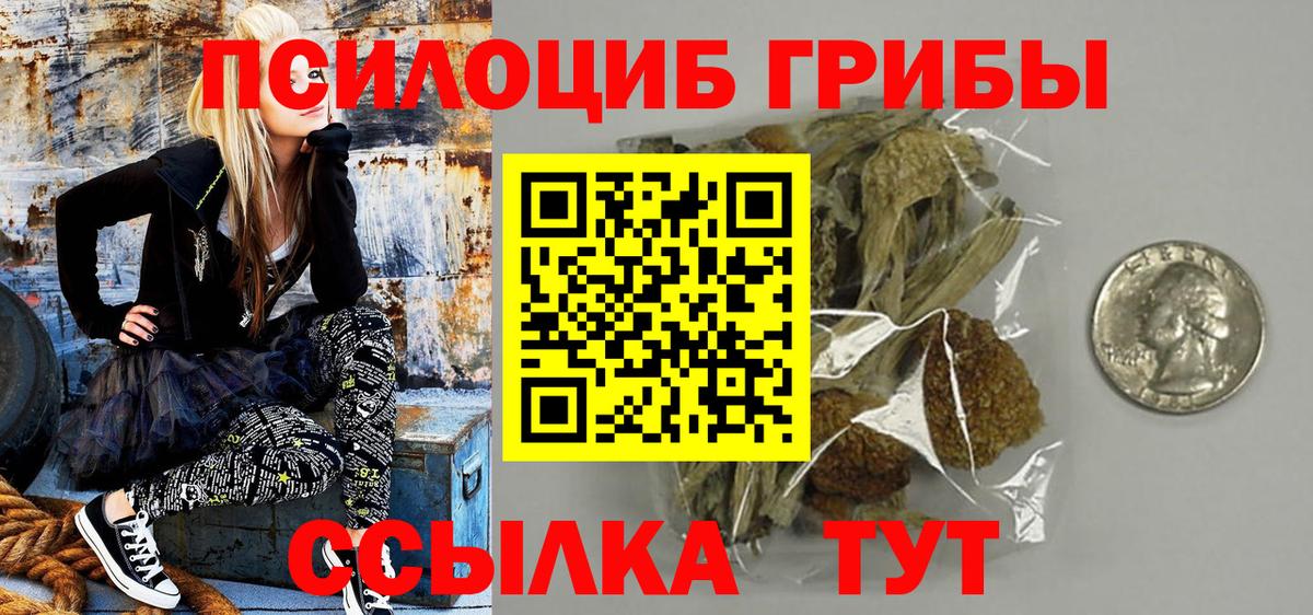 Галлюциногенные грибы мухоморы  магазин продажи наркотиков  Чита  Вход с VPN  Галлюциногенные грибы GOLDEN TEACHER 